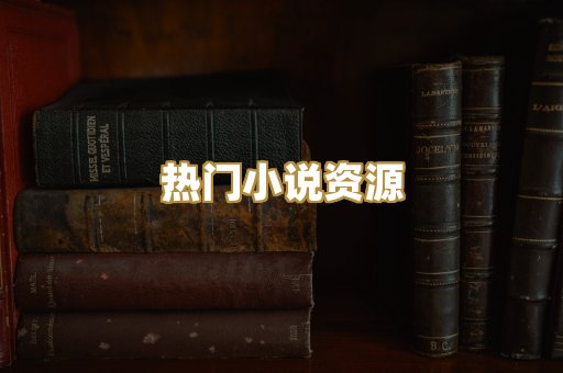 热门小说资源